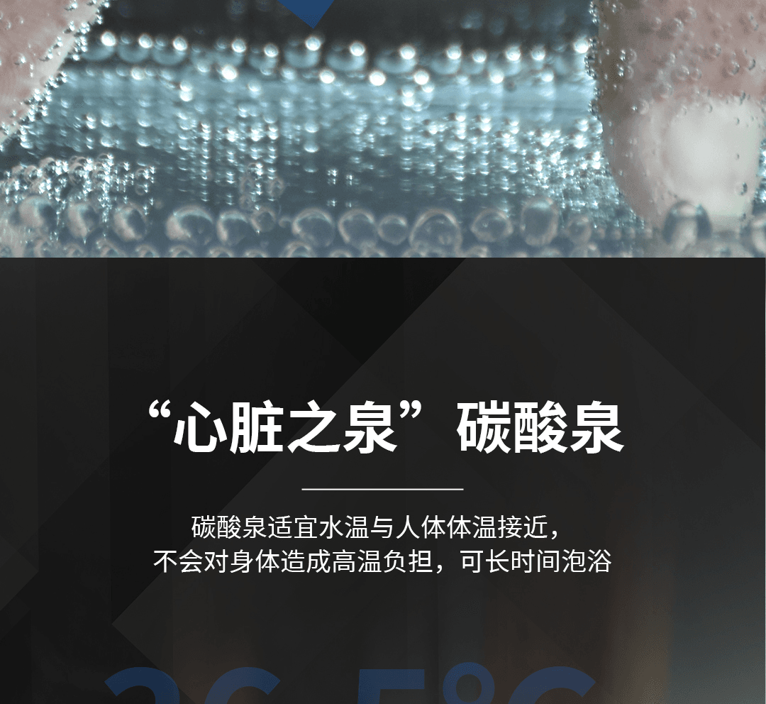 恒温恒碳温泉仪 产品详情图 7